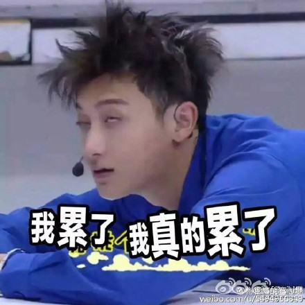 崽子
