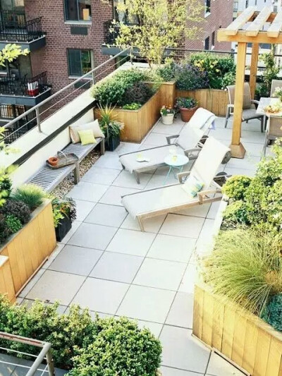 阳台,楼顶,小花园