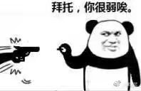 表情包#斗图 专用#熊猫表情包
