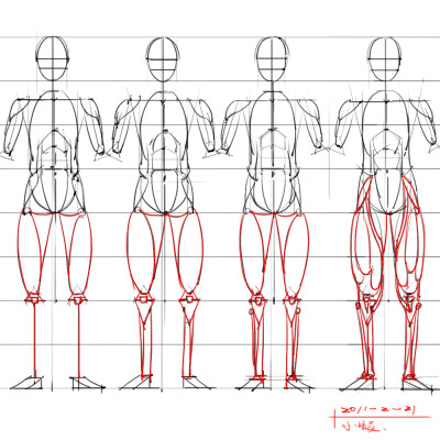 绘画参考 人体解剖,骨骼结构