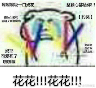 花怜表情包
