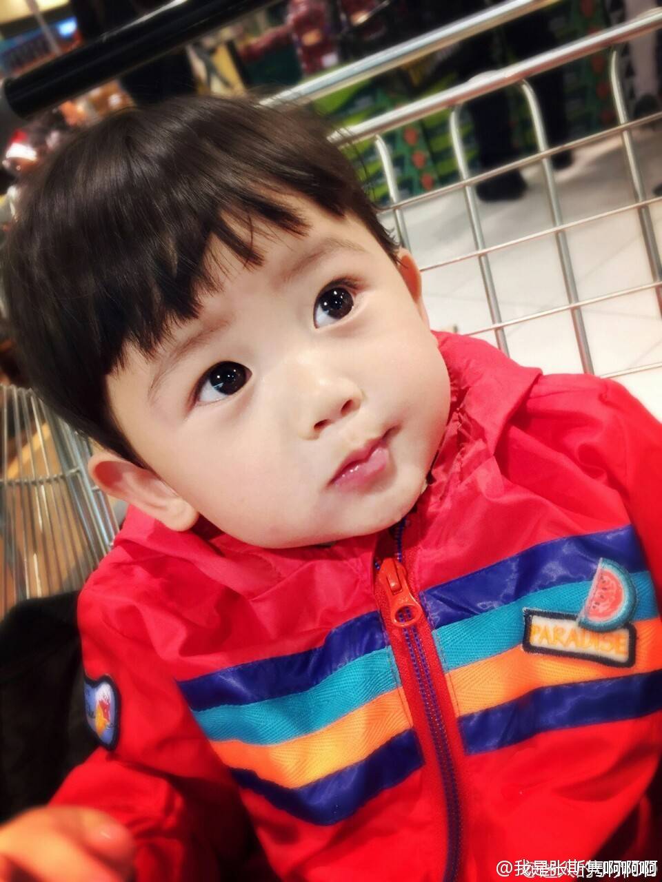 娃儿