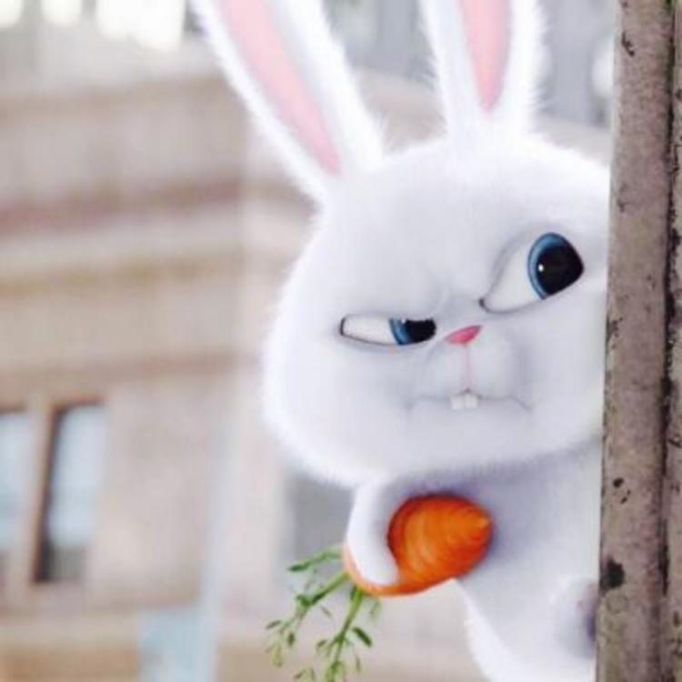 动画电影爱宠大机密兔子小白雪球snowball