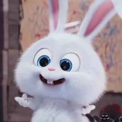 动画电影《爱宠大机密》兔子:小白/雪球(snowball)