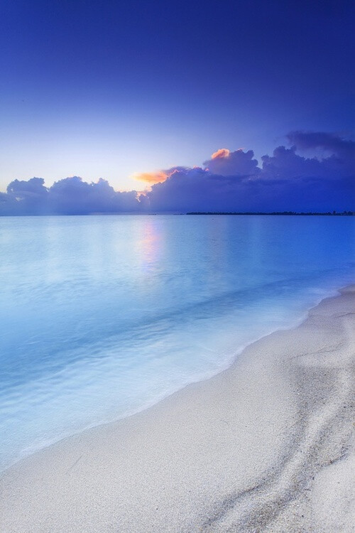 海 透明 清澈 唯美 美蓝 蓝色 蓝的 意境 … - 堆糖