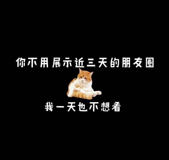 朋友圈 pyq 文字 背景 黑