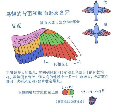 小鸟与蝙蝠的翅膀教程