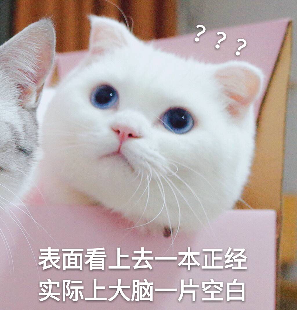 猫表情包?