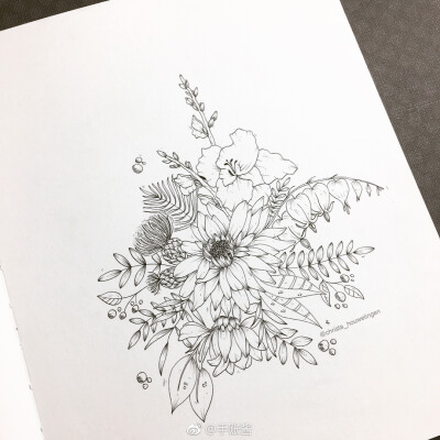 黑白画,花卉