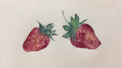 草莓写生 中国画