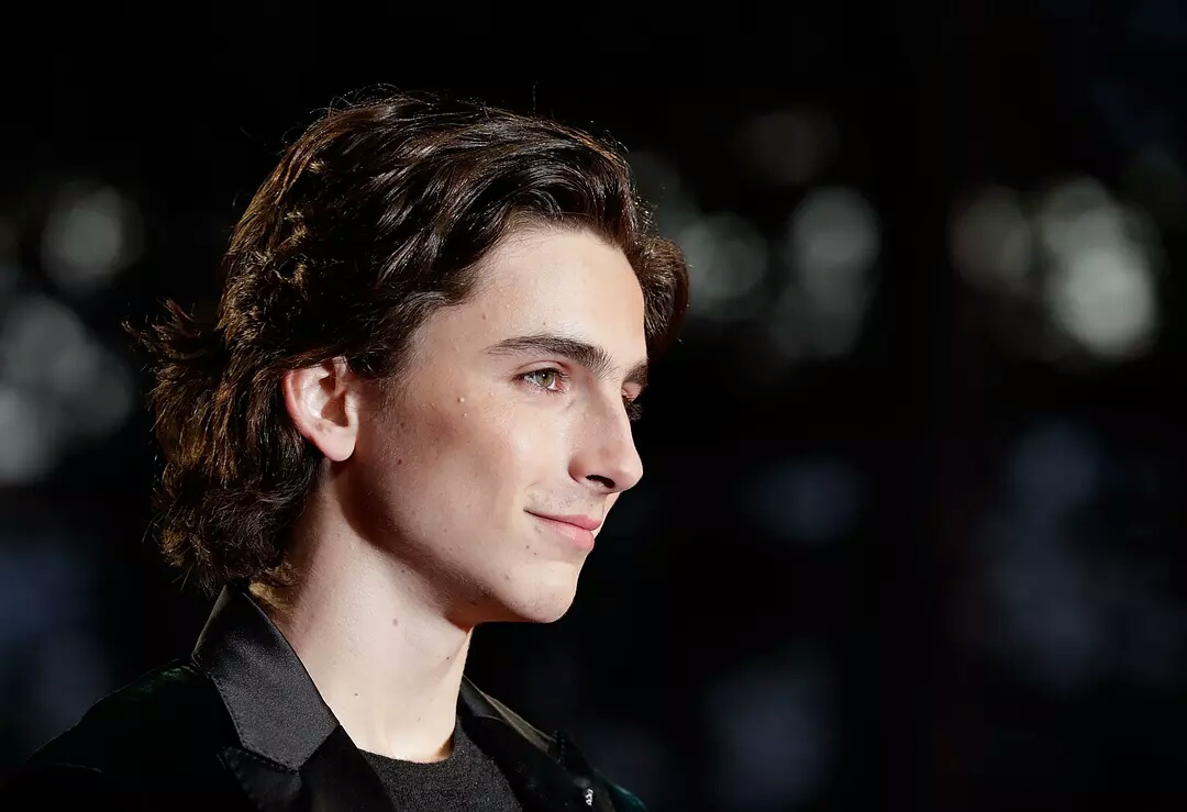 蒂莫西·柴勒梅德timothéechalamet