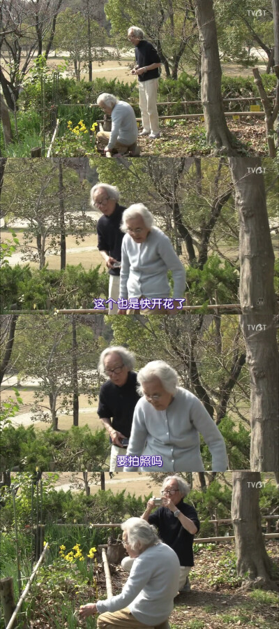 《人生果实》 - 堆糖,美图壁纸兴趣社区