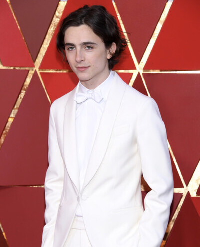 甜茶timothée chalamet 2018奥斯卡颁奖典礼加利福尼亚,美国