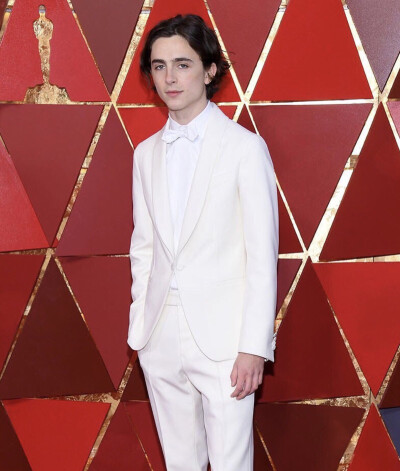 甜茶timothée chalamet 2018奥斯卡颁奖典礼加利福尼亚,美国