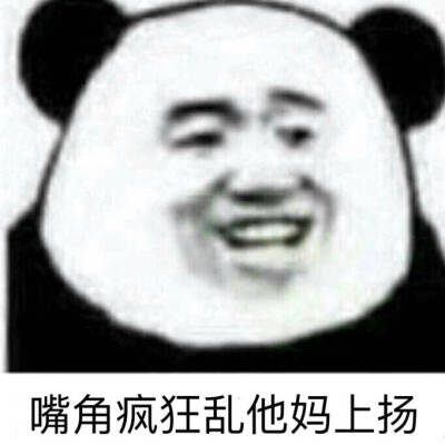 表情包(熊猫头)