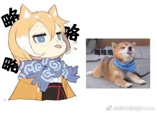 柴犬拟人