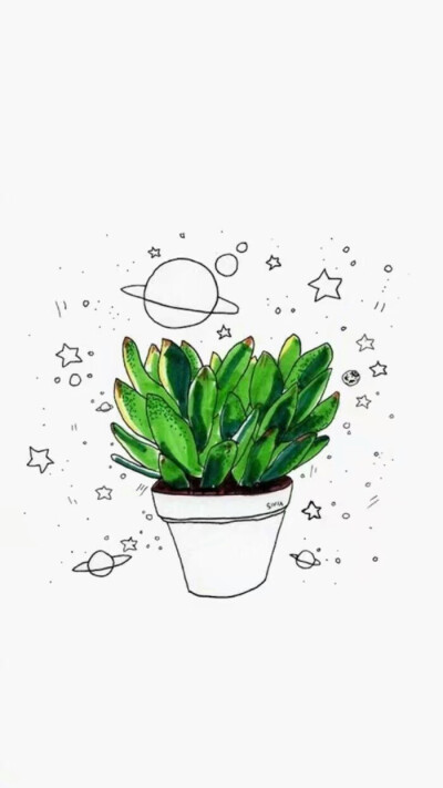 植物壁纸白底