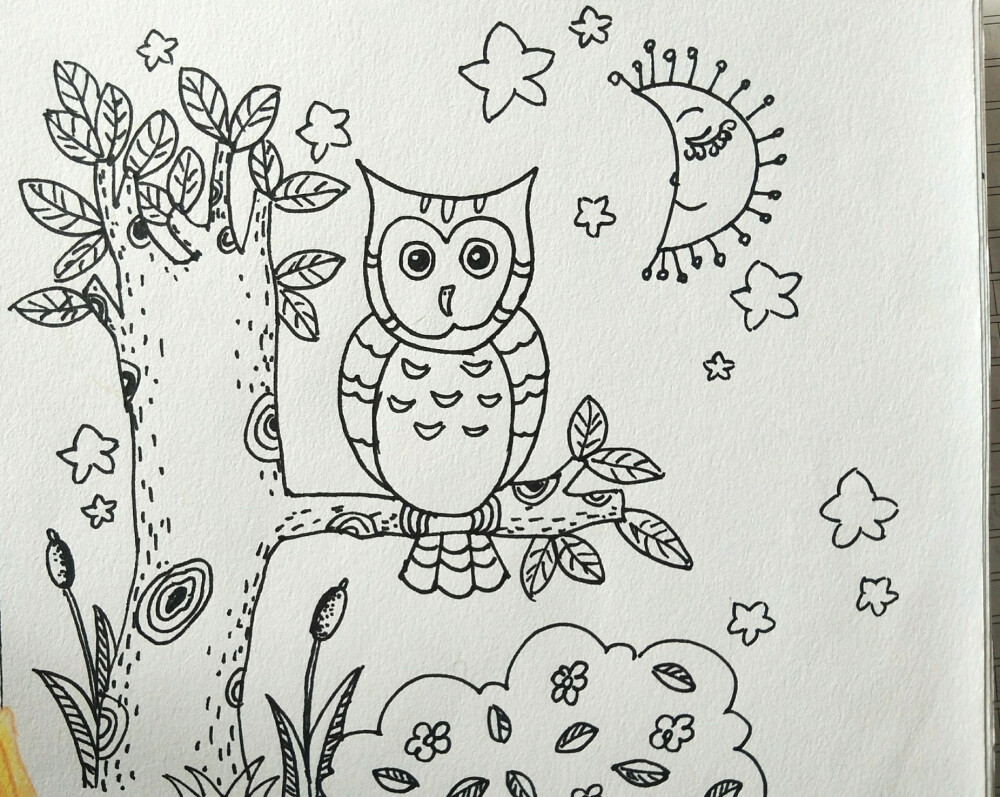 儿童画线稿:猫头鹰
