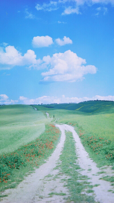 绿色护眼聊天背景