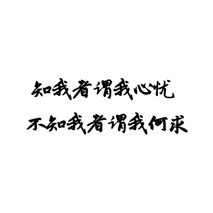 知我者谓我心忧不知我者谓我何求