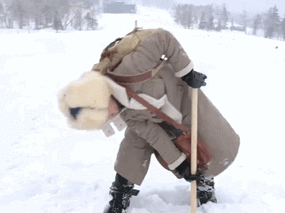 王俊凯karrywang工作室王俊凯雪地挖坑做雪地浴 karry王的日常之传说