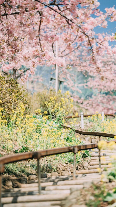 风景壁纸