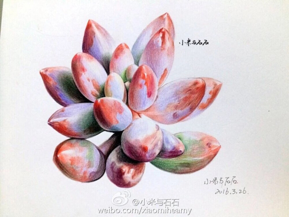 彩铅画 