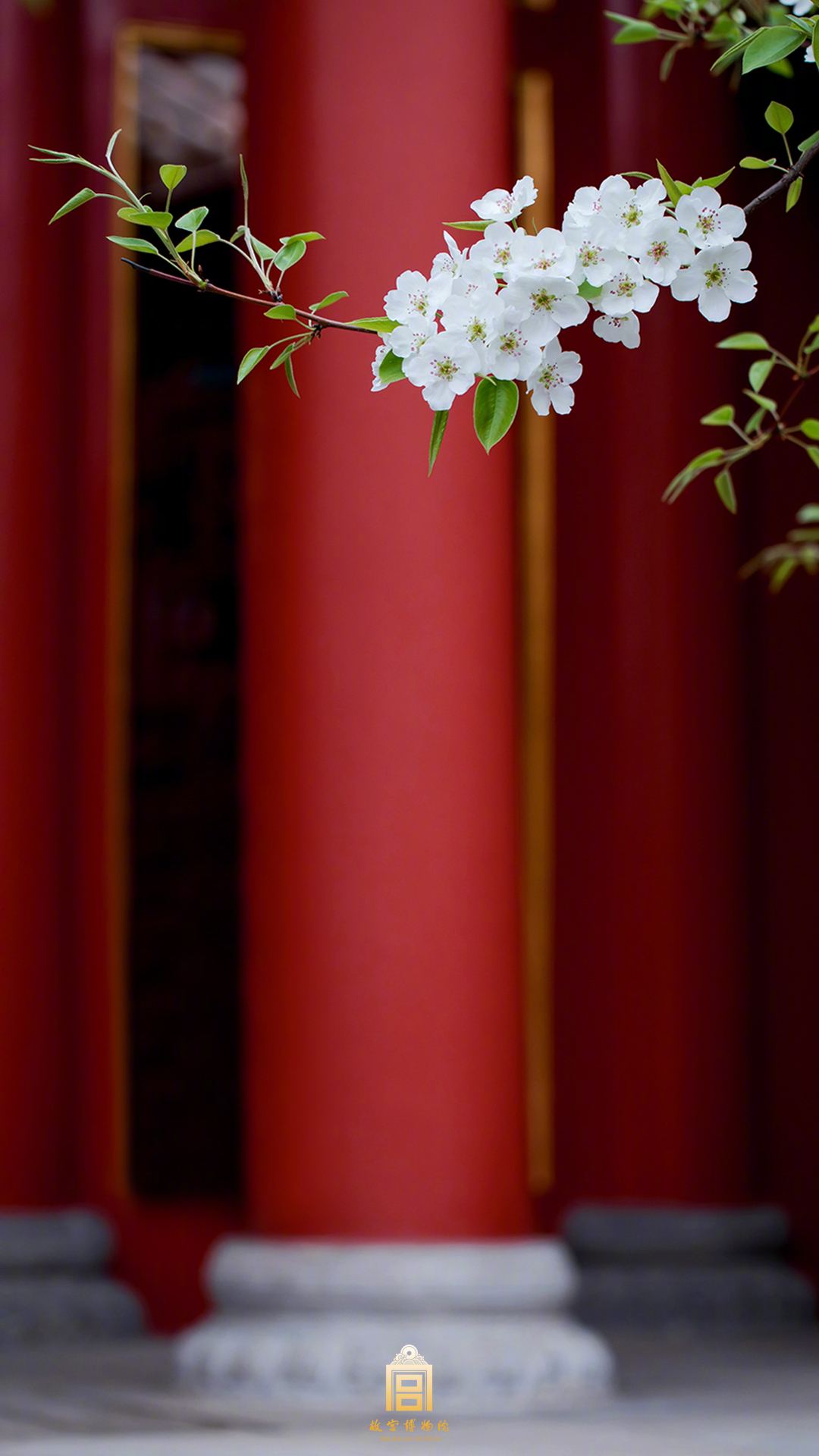 正恐压尽人间花" 照片取自@故宫博物院