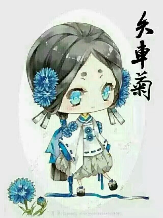 二次元 女孩 q版 花卉拟人 矢车菊 可爱