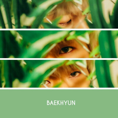 exo-cbx_baekhyun边伯贤_bloomingdays花曜日_饭修图