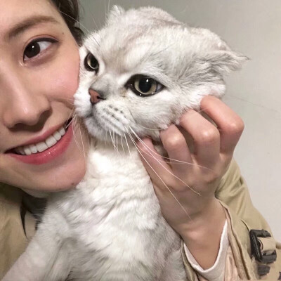 男头抱猫