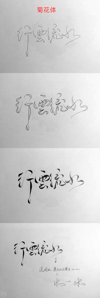 菊花字体