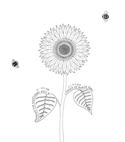 秘密花园空白稿