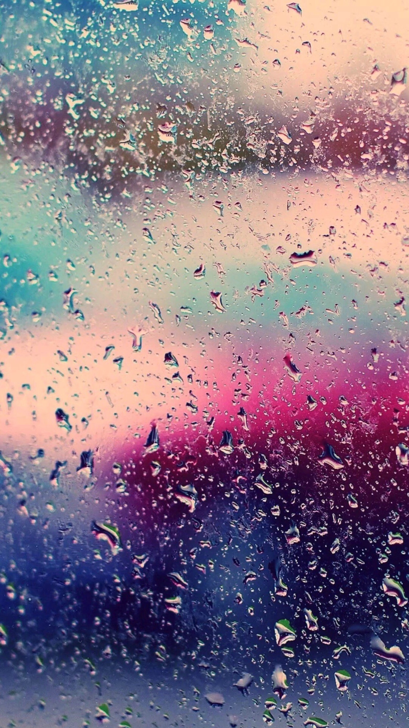 虹膜 雨滴 花 - Pixabay上的免费照片 - Pixabay
