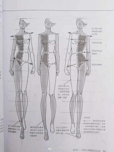 服装画 手绘 人体比例分析 原图见水印