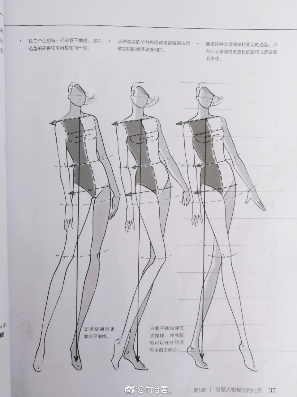 服装画 手绘 人体比例分析 原图见水印