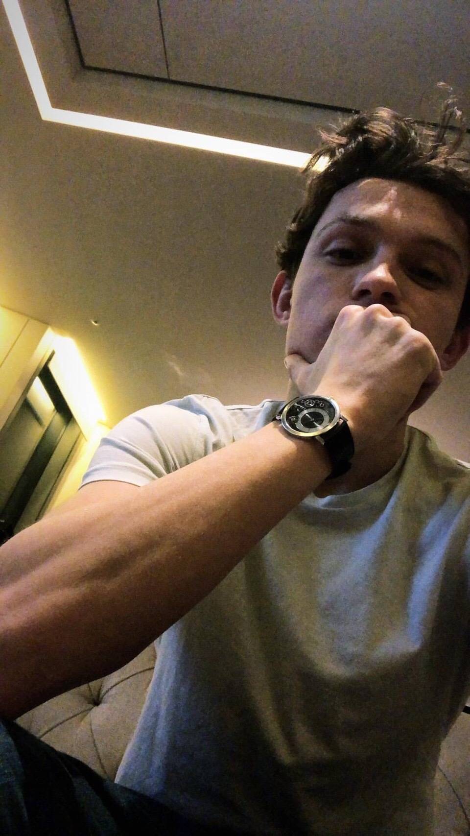 tomholland 荷兰弟