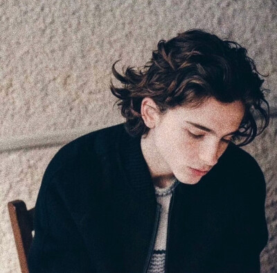 甜茶 提莫西·查拉梅 timothée chalamet