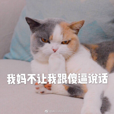 猫表情包 我妈不让我跟傻逼讲话