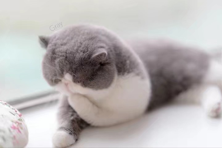 春困 秋乏 夏打盹~zz