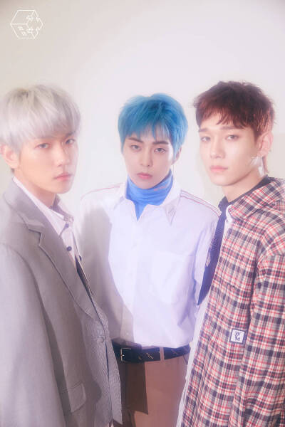 exo-cbx 花曜日