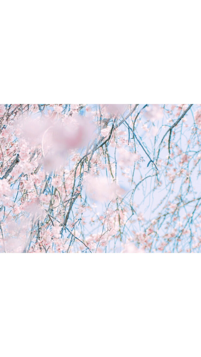 女头 背景图