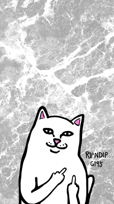 壁纸ripndip