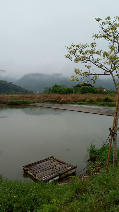 细雨纷纷