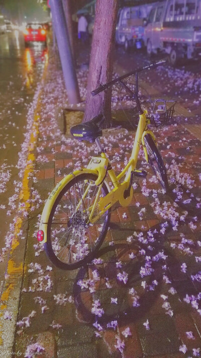 繁花落尽刀子