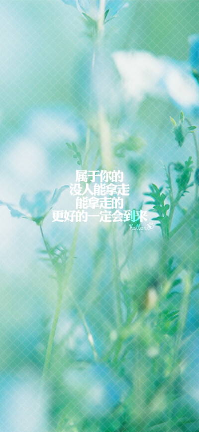 文字张 