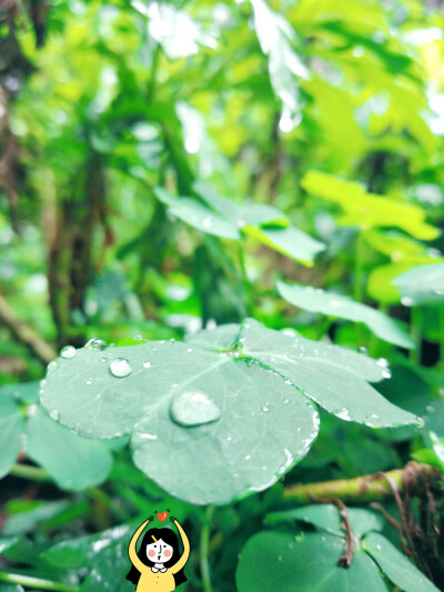 雨天,春天,学校里