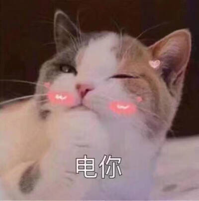 比心心