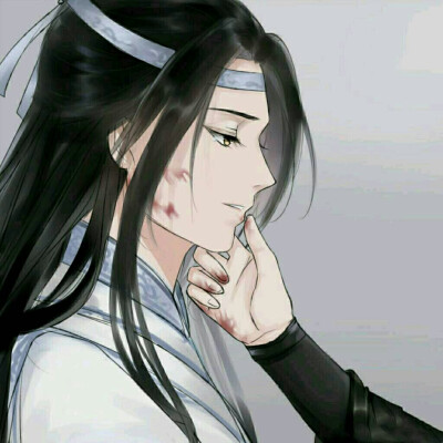 魔道祖师薛晓忘羡