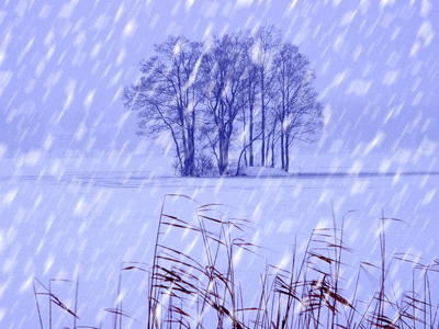 风雪不歇